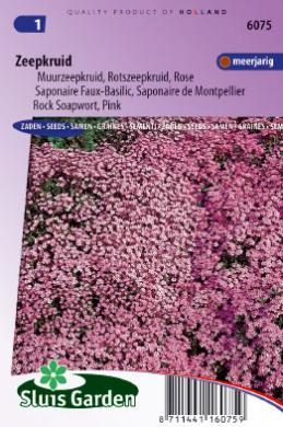 Rock soapwort (Saponaria ocymoides) 180 seeds SL